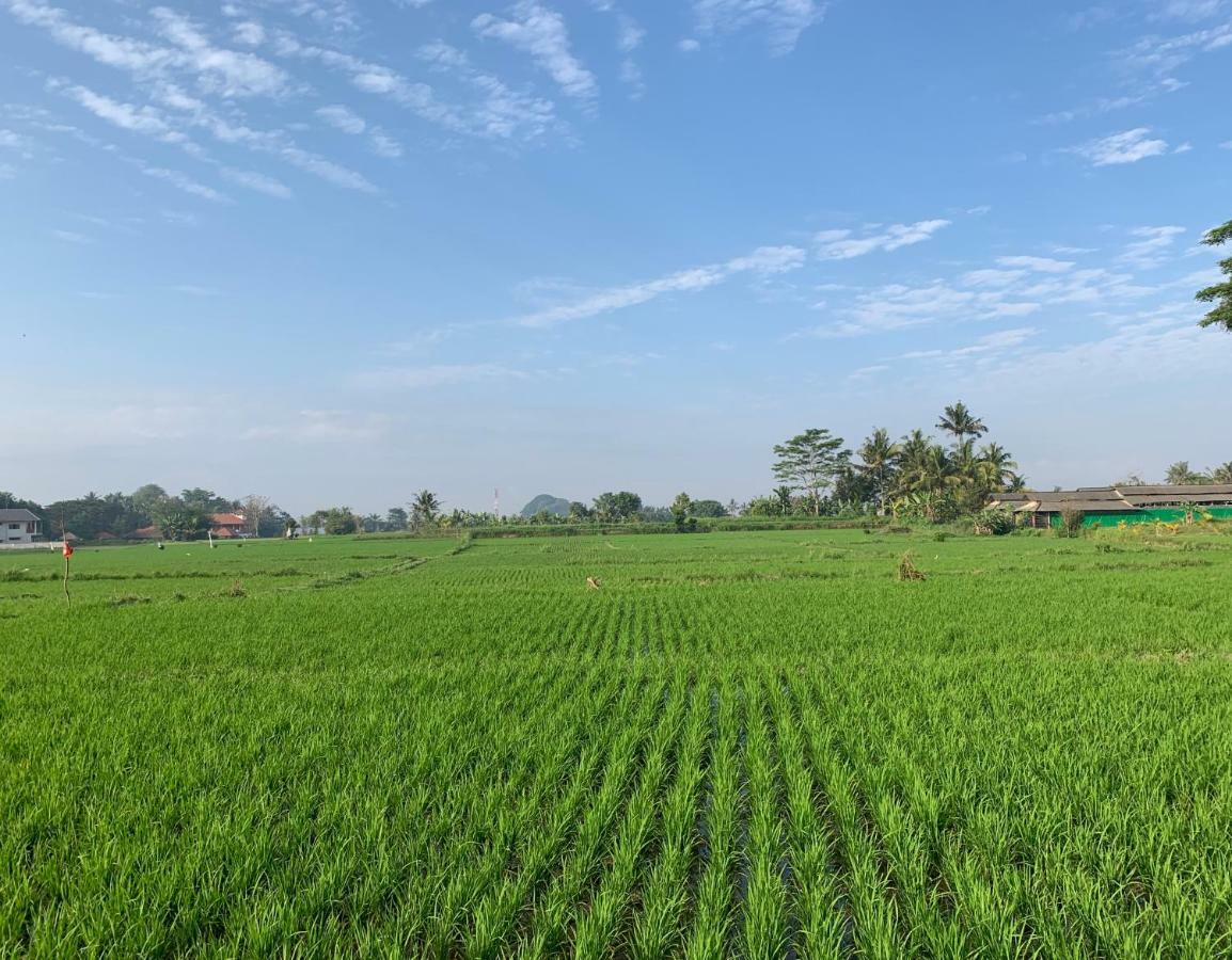 Private Pool Villa - Villa Saia Ubud Экстерьер фото